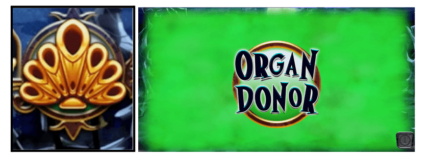 Organ Donor de Spooky Boo nanza