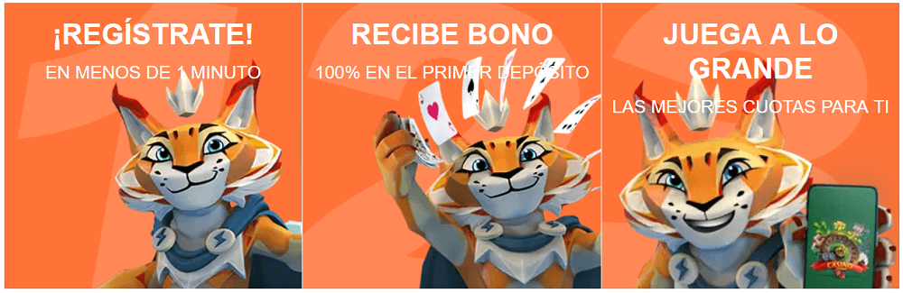 proceso creacion cuentas lynxbet
