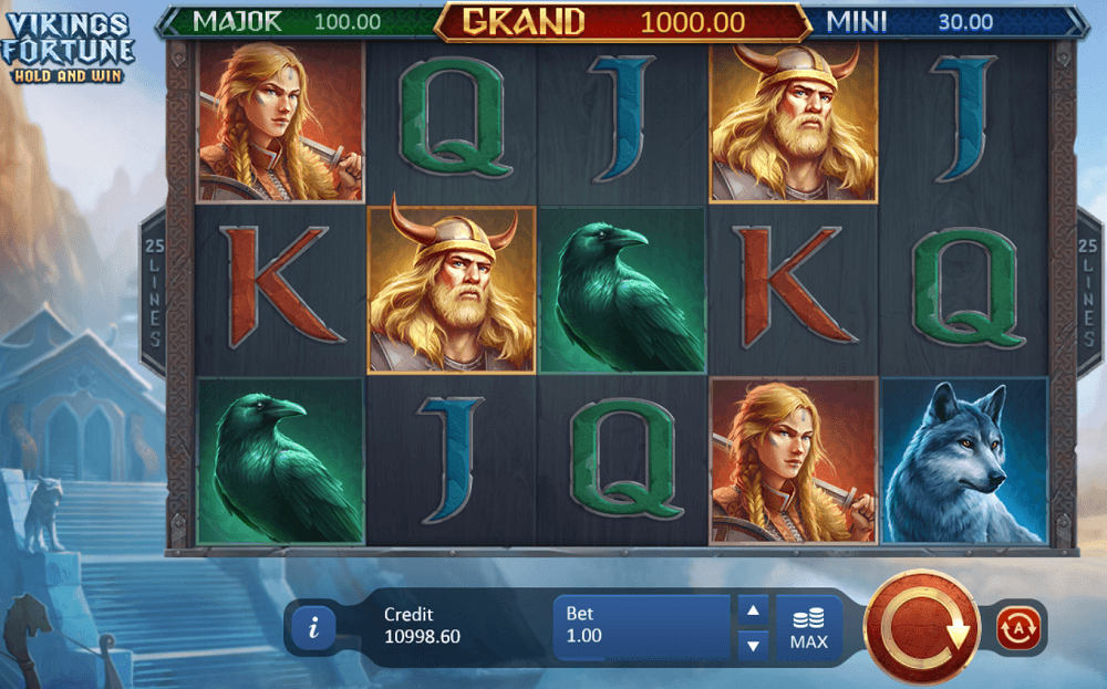 vikings fortune el tragamonedas hold and win nordico