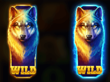 wild partida tragamonedas wolf power hold and win